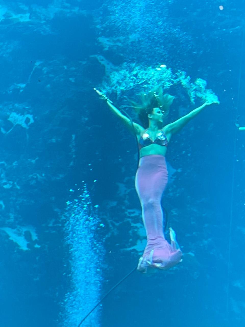 Weeki Wachee Springs State Park: Wowing audiences with its world-famous mermaid shows since 1947. File photo.