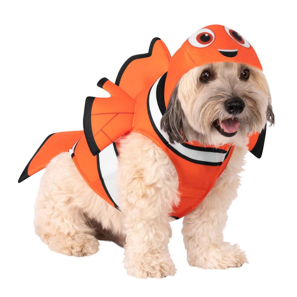 Dog wearing a Finding Nemo Dog Costume on a white background