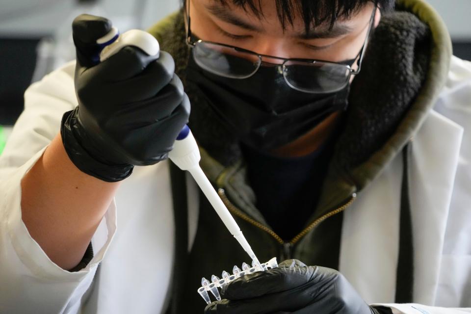 HS student Aaron Huang's testing samples. NYC high school students who work in a virology lab at Mount Sinai collect bird droppings in Central Park on April 19, 2022. They are looking for pathogens like bird flu and avian paramyxovirus 1 – a virus that only affects poultry.