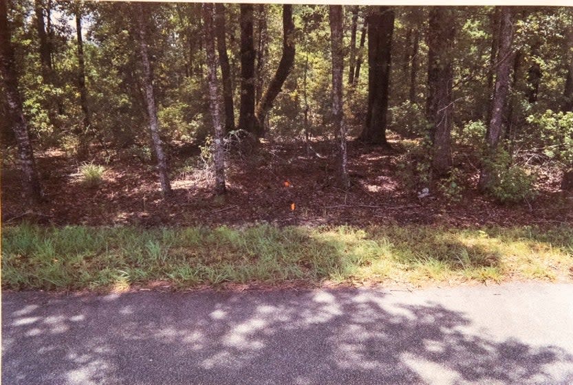 Evidence photos of Maggie’s phone found on Moselle Road (Colleton County Court)