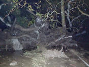 <p>An overturned car is entangled in debris after a mudslide in Montecito, Calif., Jan. 9, 2018. (Photo: Santa Barbara County Fire Department/Handout via Reuters) </p>