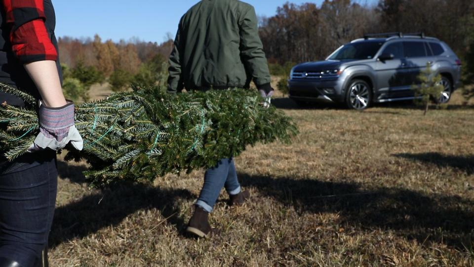 To help families secure their tree, Volkswagen compiled a list of tips and tricks.