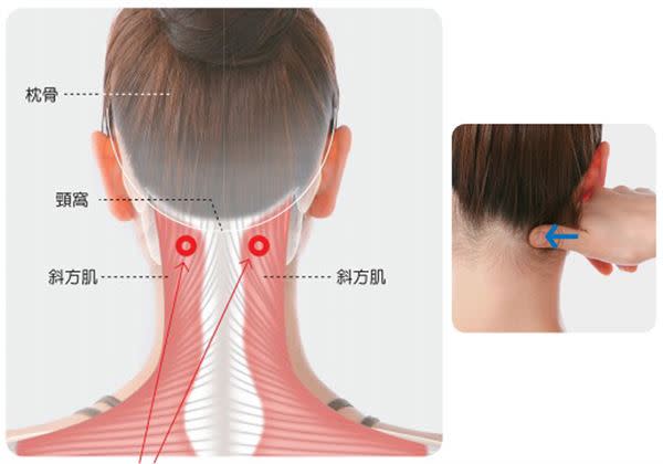 掉髮、白髮怎麼解？巧按「健腦穴」，有利頭皮健康助改善