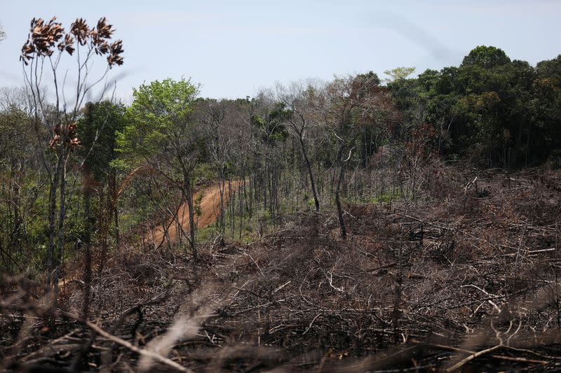 Foto de archivo. Vista de un área deforestada en medio de los llanos del Yarí, en Caquetá, Colombia