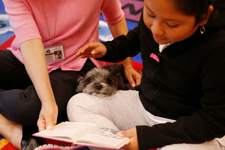 Aelane Vasquez,9, reads with Leslie Hight, a therapy dog handler for New York Therapy Animals, and Izzy, a Reading Education Assistance Dog therapy dog, at Public School 57 in the Spanish Harlem section of New York, U.S., May 16, 2016. REUTERS/Shannon Stapleton