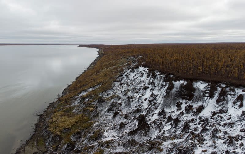 The Wider Image: A father and son's Ice Age plot to slow Siberian thaw