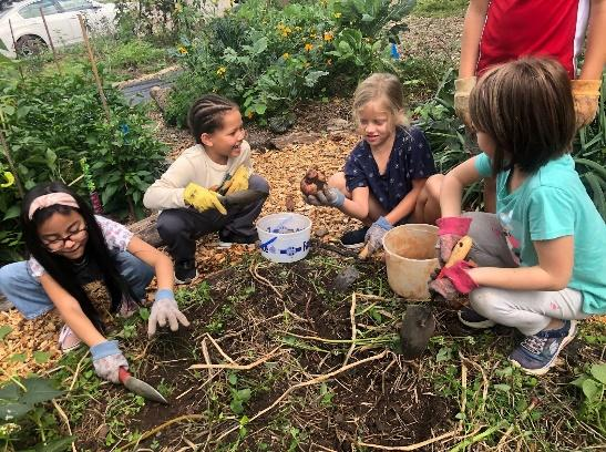 Children help harvest the potatoes they grew in the Lucy S. Herring Elementary School Garden as part of the Bountiful Cities Feast program.