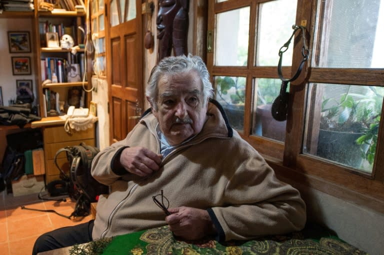 L'ancien président de l'Uruguay, Jose "Pepe" Mujica, le 9 juillet 2014 chez lui, dans les environs de Montevideo (DANIEL CASELLI)