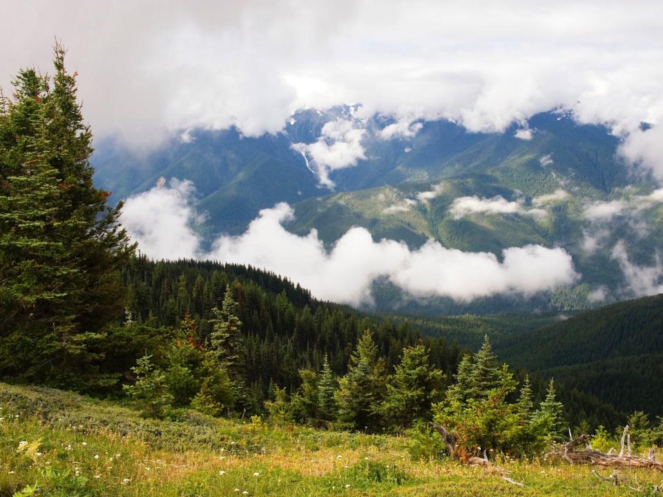 Washington State, Olympic Peninsula, Olympic National Park, View From Hurricane Ridge, Clouds.