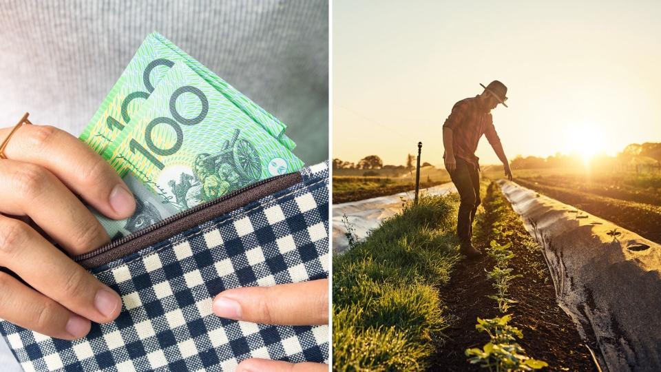 Would you take up farm work? Images: Getty