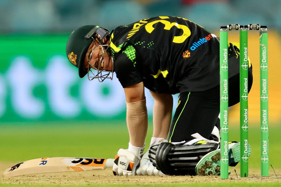 David Warner, pictured here in action for Australia against England.