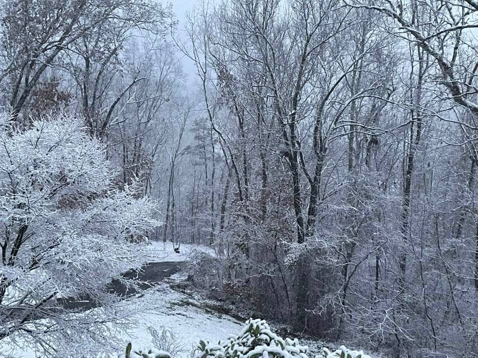 Snow in Weaverville on the morning of Jan. 3, 2022.