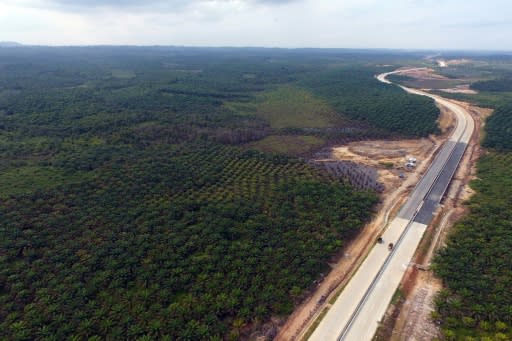 The area around Samboja, Kutai Kartanegara, is one of two locations in Eastern Kalimantan chosen as a possible site for the new capital