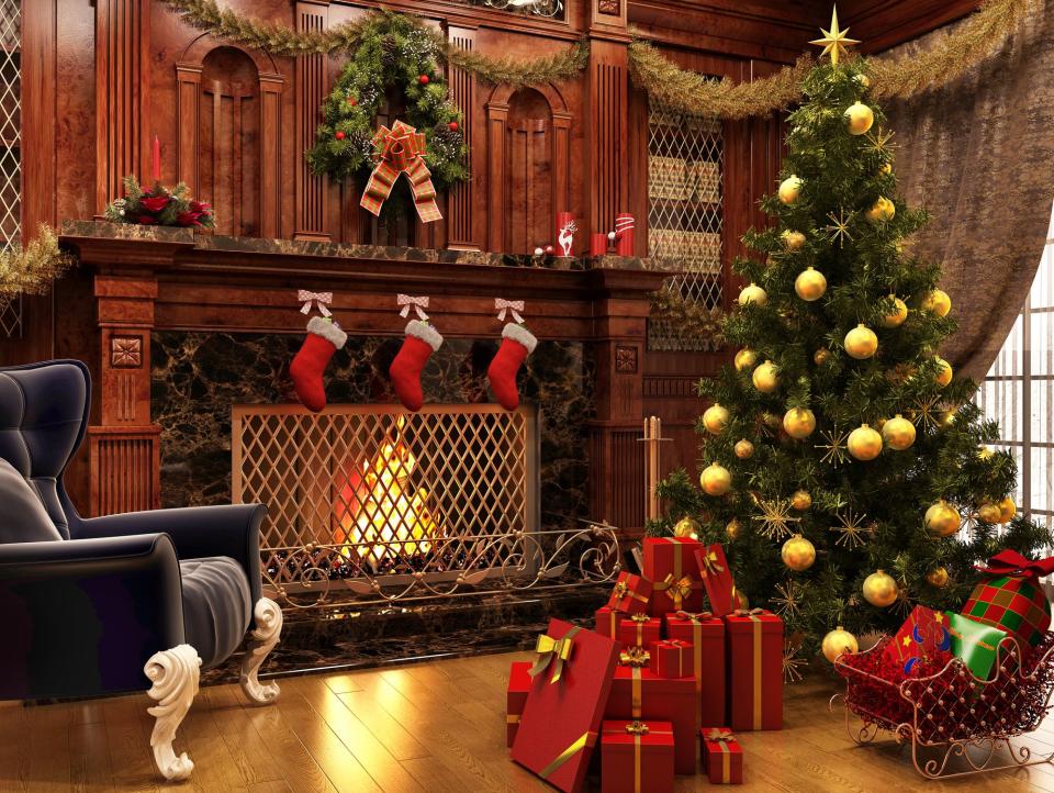 These Are the 10 Best Types of Christmas Trees