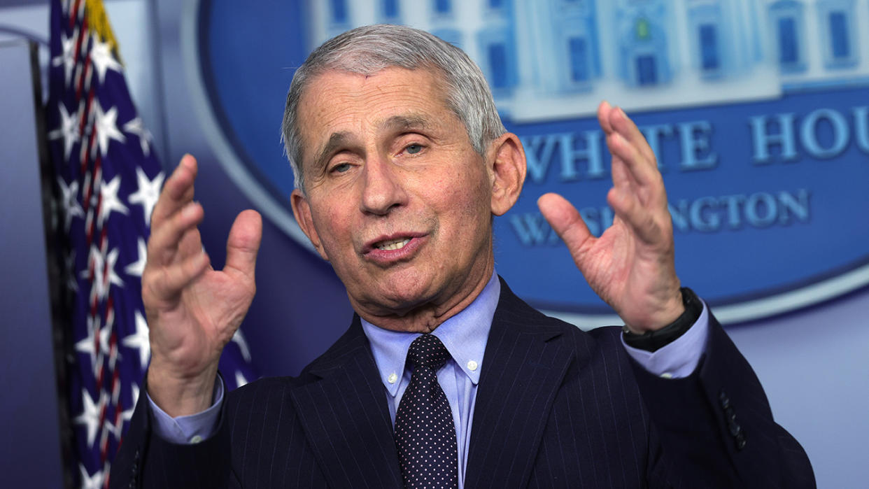 Dr Anthony Fauci, Director of the National Institute of Allergy and Infectious Diseases, speaks during a White House press briefing in January. (Alex Wong/Getty Images)