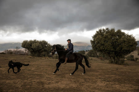 Fernando Noailles, emotional therapist, gallops on his horse named Madrid in Guadalix de la Sierra, outside Madrid, Spain, December 9, 2017. REUTERS/Juan Medina