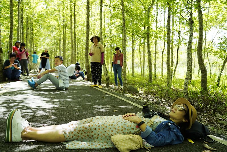 花蓮慢遊小旅行，十大推薦景點與體驗活動