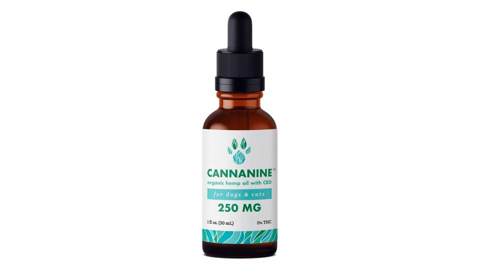 Best CBD Products For Pets