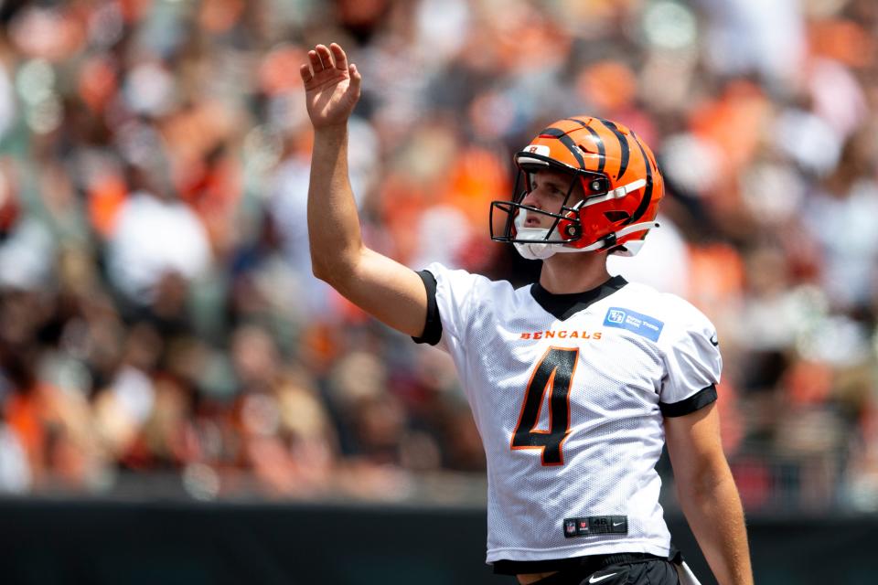 Cincinnati Bengals punter Drue Chrisman