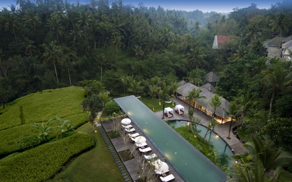 Ubud, Bali,  Indonesia