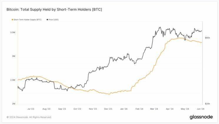 Los tenedores de Bitcoin a corto plazo alcanzan más de 3 millones de BTC