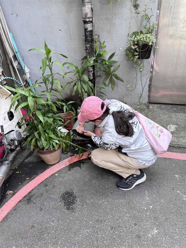 快新聞／新北登革熱再增1例「累積56例」　中和56歲男曾去三介廟