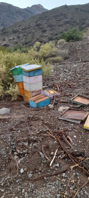 Damaged hives are seen after heavy rains hit Chilean central and southern regions, in O'Higgins region