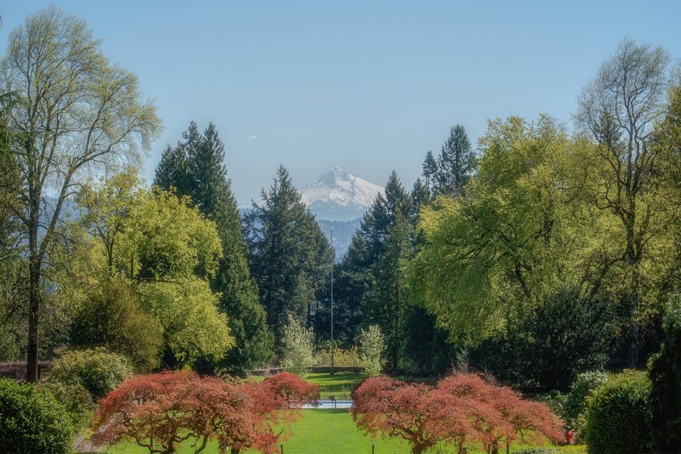 College campus sunny spring green red field mt hood background Portland Oregon