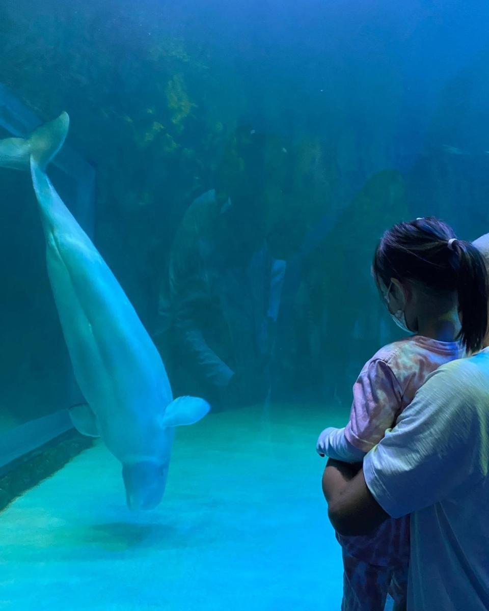 ▲除了去愛寶樂園野生動物園，宋米秦也帶著女兒去水族館玩。