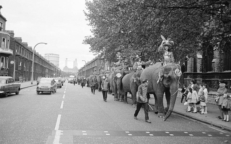 BATTERSEA, LONDON - circa 1968: Billy Smart's Circus Elephants with riders and mahouts and trainers march along Queenstown Road in South London with Battersea Power Station in the distance circa 1968. (Photo by Chris Morphet/Redferns)  - Getty