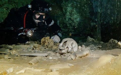 A diver studies human remains believed to be from the Pleistocene era, in the Sac Actun underwater cave system - Credit:  INAH