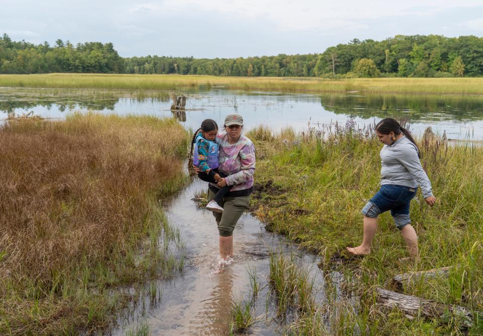 Nikki Nelson, left, of Brimley, carries KiwedinAnung Lee, of Manistique, as Lee's aunt Jasmine Cabarrubia, also of Manistique, follows along while taking a break to visit nearby natural water springs along a section of the Au Sable River in Oscoda on Saturday, Sept. 16, 2023, after harvesting manoomin "wild rice" together that is growing from the grasslike plants on the water.