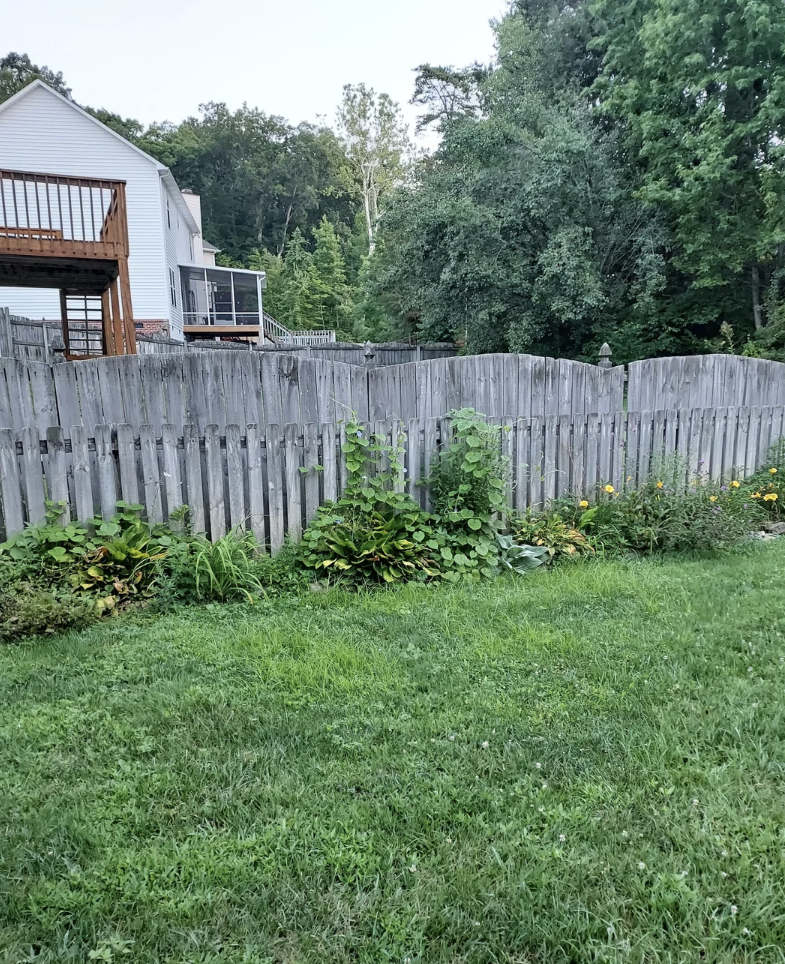 Reddit post titled "Is a 6 ft fence worth the extra privacy?" with a photo of a backyard featuring a tall wooden fence and a house in the background