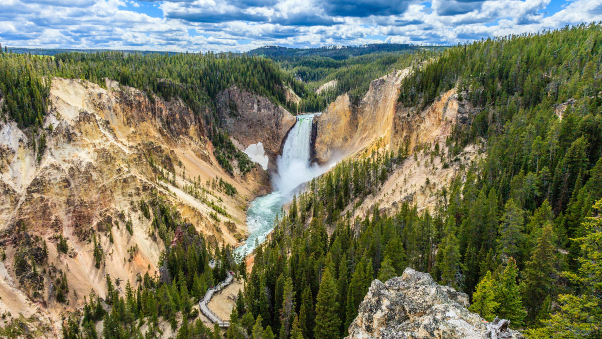  Lower Falls in Yellowstone. 