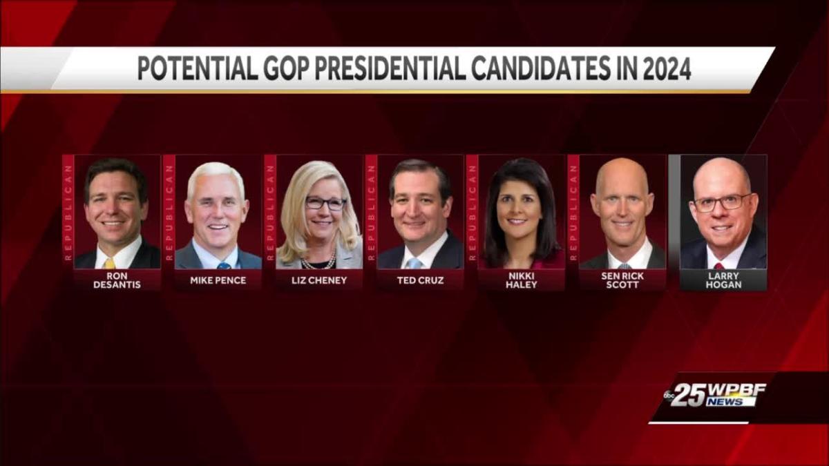 Who could other potential 2024 candidates be? [Video]