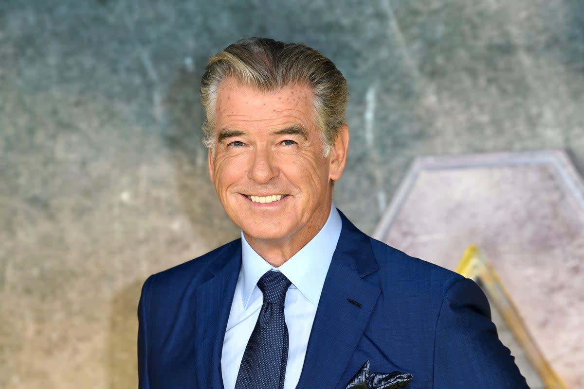 Pierce Brosnan has hit out at a UK art gallery he says are advertising a 'fake' meet and greet opportunities with him (Eamonn M. McCormack/Getty Images)