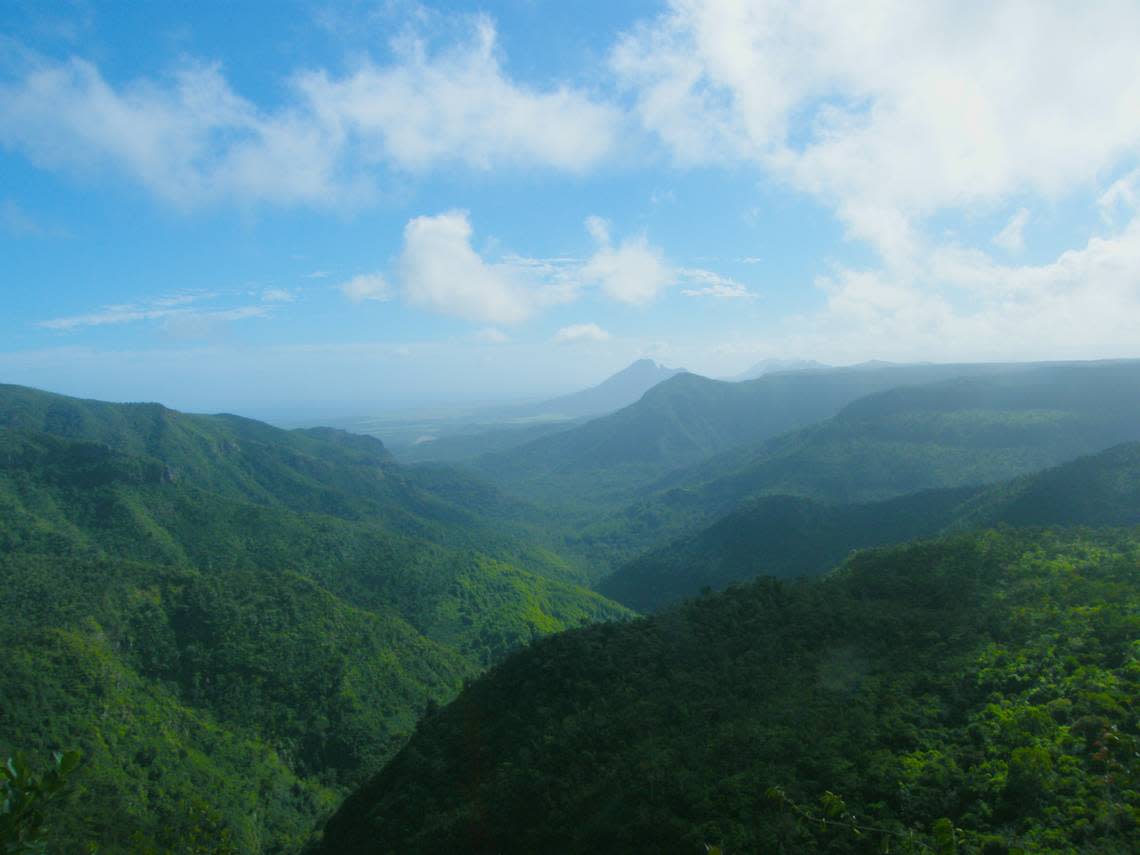 Mauritius, an island about 500 miles from Madagascar, was the native home to the dodo before the 3-foot tall flightless bird went extinct in the late 1600s. The Mauritian Wildlife Foundation and Texas-based Colossal Biosciences hope to make it “deextinct” using gene-editing.