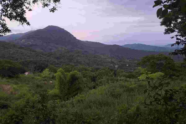 el veladero acapulco fosas clandestinas