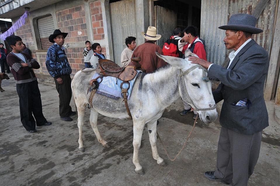 A member of a Christian brotherhood pets the donkey Rito, who will carry an image of Jesus during a Palm Sunday procession in Guatemala City. <a href="https://www.gettyimages.com/detail/news-photo/member-of-the-sagrado-corazon-de-jesus-brotherhood-pets-the-news-photo/98100628?adppopup=true" rel="nofollow noopener" target="_blank" data-ylk="slk:Johan Ordonez/AFP via Getty Images;elm:context_link;itc:0;sec:content-canvas" class="link ">Johan Ordonez/AFP via Getty Images</a>