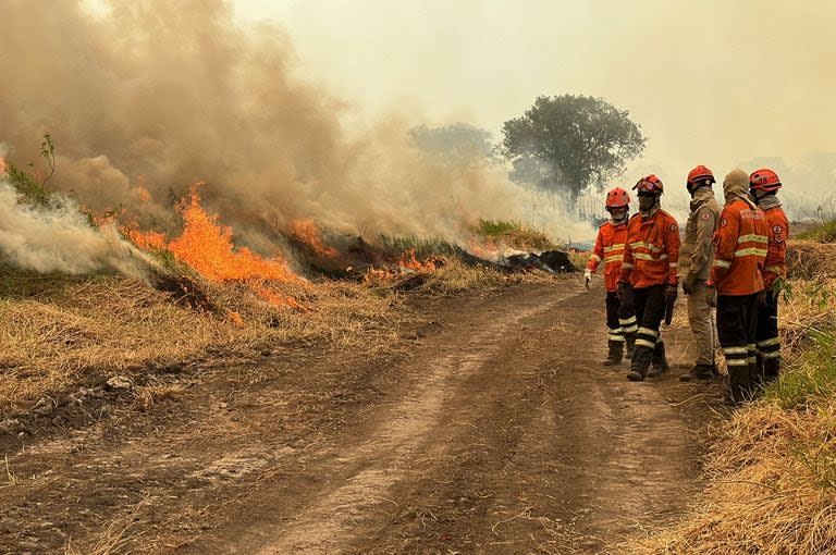 Bomberos combaten un incendio forestal en el Pantanal, cerca de Porto Jofre, en el estado brasileño de Mato Grosso.