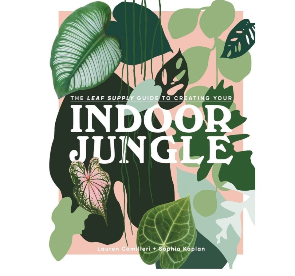 The Leaf Supply Guide to Creating Your Indoor Jungle 