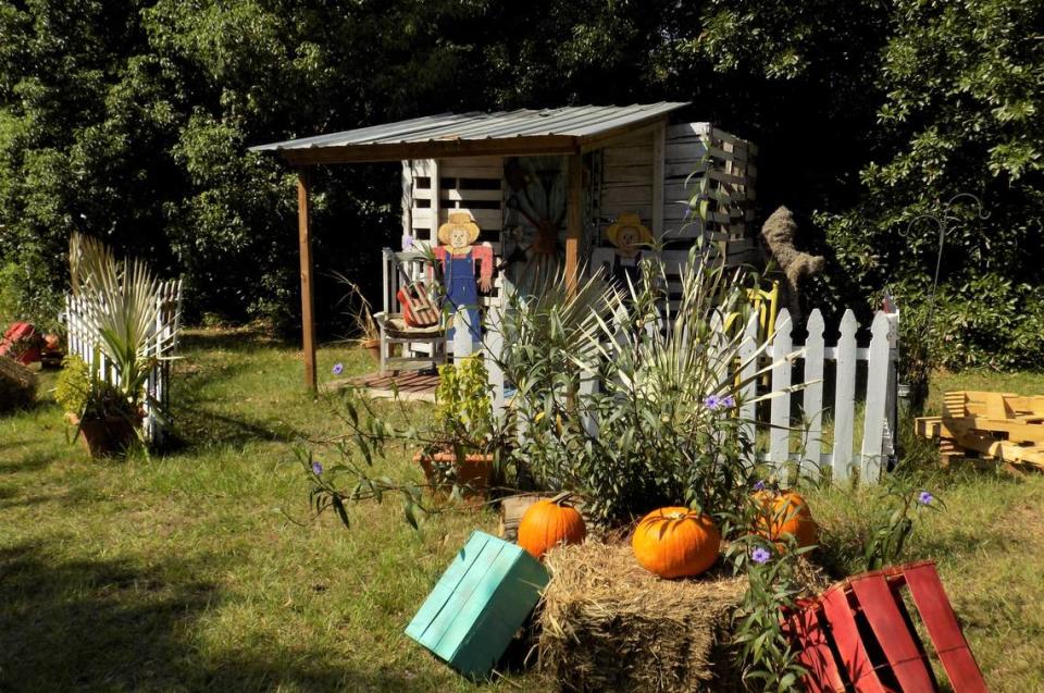 Fall-De-Rah is a tradition in Moss Point, with pumpkins and fall characters throughout the business district. Mary Perez/meperez@sunherald.com