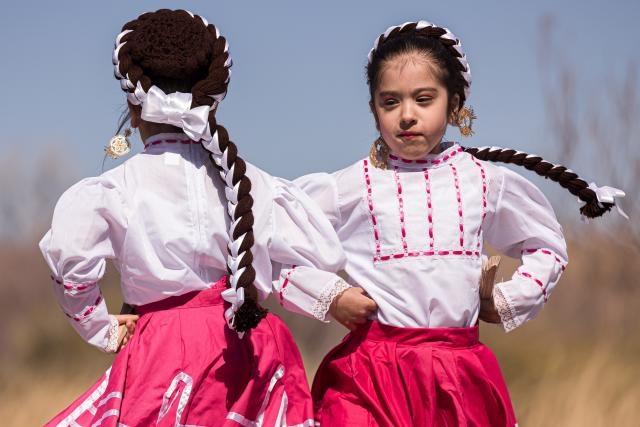 El Paso 2021 Poppies Festival canceled due to COVID-19 pandemic