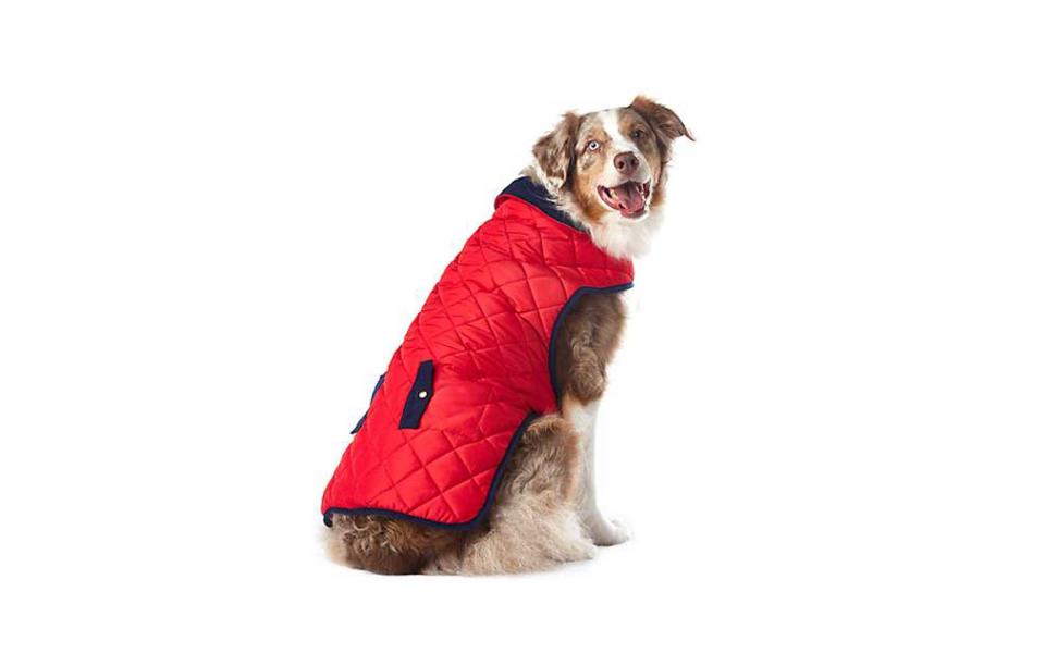 To Give: Pup Crew Quilted Pocket Jacket