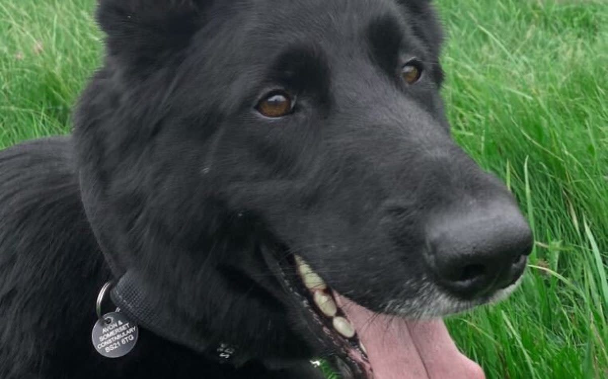 Avon and Somerset Police of PD Jet, who was killed on duty after being hit by a train chasing suspected burglars - PA/Avon and Somerset Police 