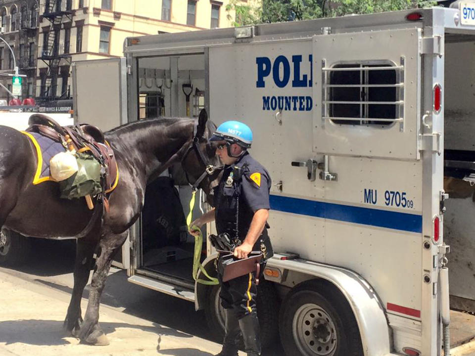 Exotische Polizei- und Sicherheits-Einheiten aus aller Welt