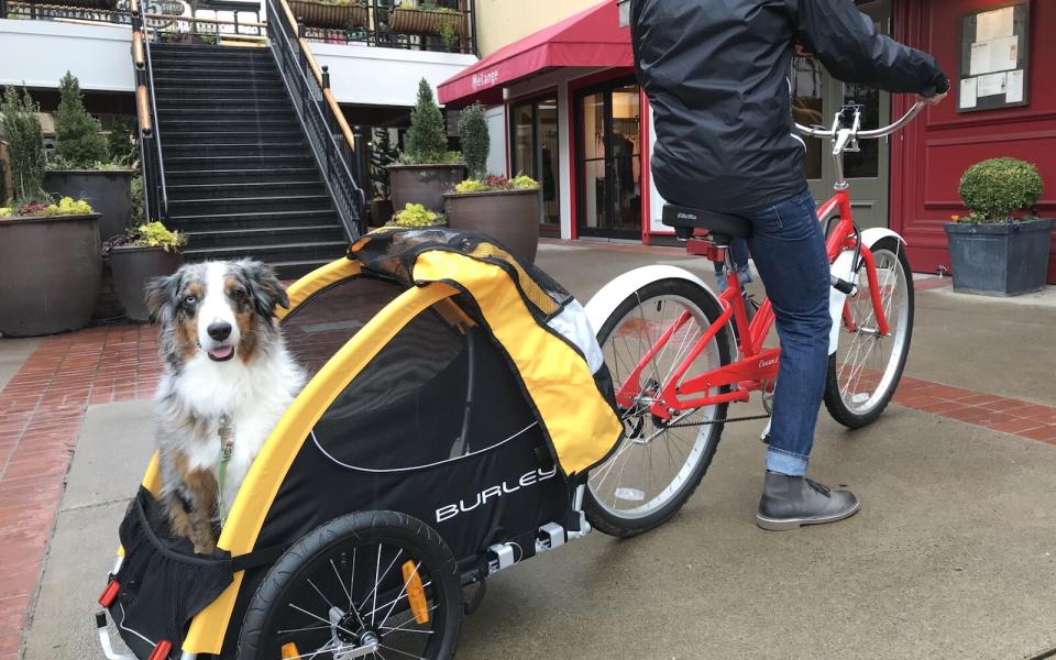 Inn at the 5th Eugene, Oregon dog-friendly