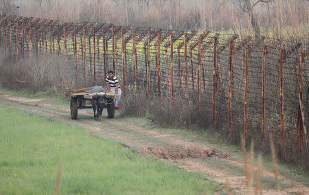 A man rides a bullock cart next to the fenced border between India-Pakistan in Ranbir Singh Pura sector near Jammu March 1, 2019. REUTERS/Adnan Abidi