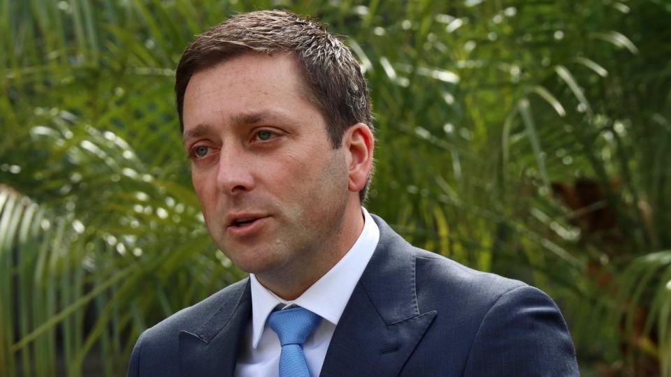 Victorian Opposition Leader Matthew Guy said the proposed Family Violence Disclosure Scheme would potentially save lives. Source: AAP