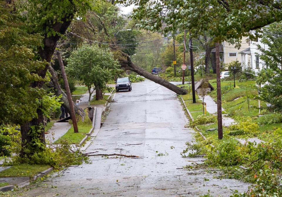 Some of the damage from post-tropical storm Fiona on Rigby Road in Sydney, N.S., is shown.